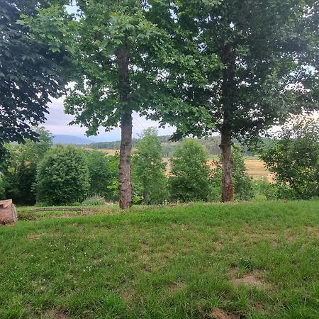 Appartamento Margherita Crespina Екстер'єр фото